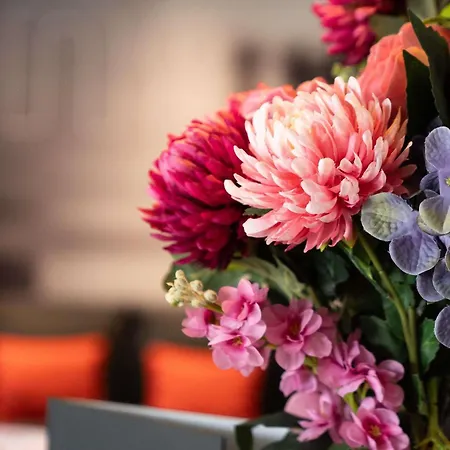 Hotel Ibis Saint-denis Stade Ouest Saint-Denis (Seine-Saint-Denis)